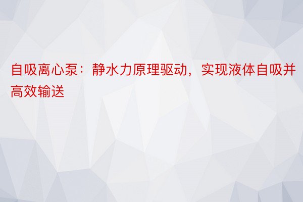 自吸离心泵：静水力原理驱动，实现液体自吸并高效输送